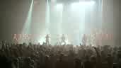20250328_224812.jpg