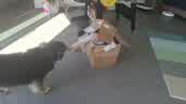 20250629_092653.jpg