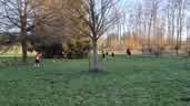 20250404_193036.jpg