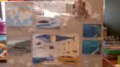 IMG-20211110-WA0000.jpg