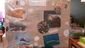 IMG-20211110-WA0001.jpg