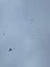 IMG-20220202-WA0003.jpg