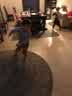 IMG-20220210-WA0008.jpg