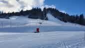 IMG-20220226-WA0004.jpg