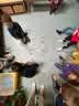 IMG-20220320-WA0022.jpg