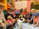 IMG-20220610-WA0004.jpg