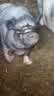 IMG-20220716-WA0008.jpg