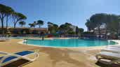IMG-20220802-WA0001.jpg
