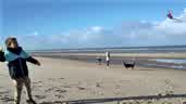 IMG-20221125-WA0001.jpg