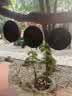 IMG-20230427-WA0001.jpg
