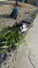 IMG-20230525-WA0000.jpg