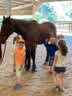 IMG-20230605-WA0001.jpg