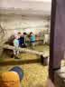 IMG-20230605-WA0003.jpg