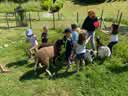 IMG-20230605-WA0015.jpg