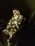 IMG-20230805-WA0001.jpg