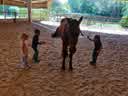 IMG-20230924-WA0055.jpg