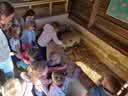 IMG-20230924-WA0111.jpg