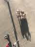 IMG-20231010-WA0099.jpg