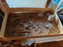 IMG-20231014-WA0006.jpg