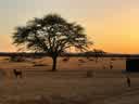 IMG-20231030-WA0017.jpg
