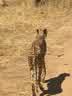 IMG-20231031-WA0003.jpg