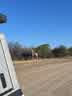 IMG-20231031-WA0006.jpg