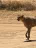 IMG-20231031-WA0011.jpg