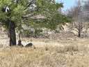 IMG-20231101-WA0020.jpg