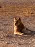 IMG-20231103-WA0000.jpg