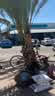 IMG-20231104-WA0004.jpg