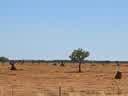 IMG-20231104-WA0005.jpg