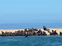 IMG-20231106-WA0003.jpg