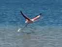 IMG-20231106-WA0010.jpg