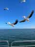 IMG-20231106-WA0013.jpg