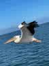 IMG-20231106-WA0014.jpg