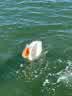 IMG-20231106-WA0016.jpg