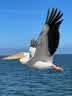 IMG-20231106-WA0017.jpg