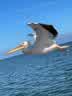 IMG-20231106-WA0018.jpg