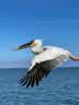IMG-20231106-WA0019.jpg