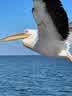 IMG-20231106-WA0020.jpg