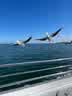 IMG-20231106-WA0021.jpg