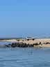 IMG-20231106-WA0045.jpg