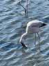 IMG-20231106-WA0046.jpg