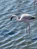 IMG-20231106-WA0047.jpg
