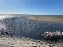 IMG-20231106-WA0049.jpg