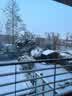 IMG-20240118-WA0003.jpg