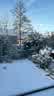IMG-20240118-WA0004.jpg