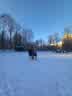 IMG-20240118-WA0006.jpg