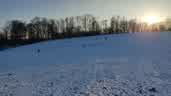 IMG-20240119-WA0001.jpg