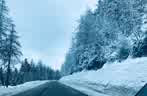 IMG-20240224-WA0022.jpg
